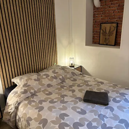 Ferienwohnung Le Solognot Aubigny-sur-Nère Exterior foto
